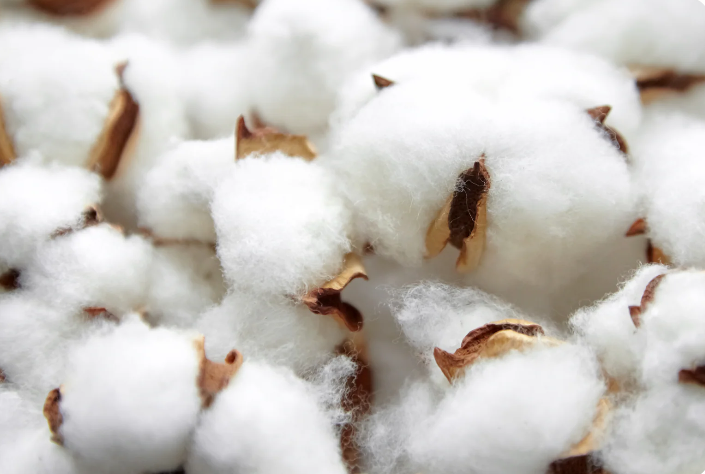 Logos, die nachhaltigen Anbau und Bio-Qualität der Baumwolle belegen